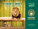 #B10# -  Jardins de Thoiry - Born to be wild, Sentir le fauve, Safari en camion brousse - 2018