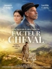  Lâ€™incroyable histoire du facteur de Cheval (2018) de Nils Tavernier - 2019