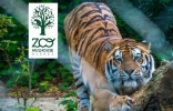 #B11# -  Parc zoologique et botanique de Mulhouse - Zoo Mulhouse Alsace - 2018