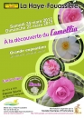 #A266# -  A la découverte du Camellia - 2012