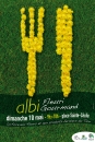#C7# -  Albi fleuri gourmand - 2009