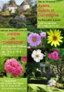 #A241# -  Jardin de Campagne - Asters, soleils et compagnie - 2011