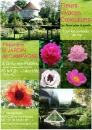 #A131# -  Jardin de Campagne - Fleurs vivaces Collections - 2013