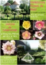 #A209# -  Jardin de Campagne - Hellébores roses de Noël - 2014