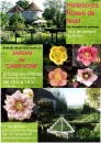 #A262# -  Jardin de Campagne - Hellébores roses de Noël - 2012