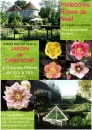 #A92# -  Jardin de Campagne - Hellébores roses de Noël - 2013