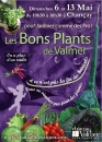 #A290# -  Jardins de Valmer - Les bons plants de Valmer - 2012