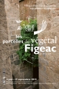 #A54# -  Les parcelles du végétal, Figeac en ses jardins - 2010