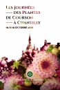 #A95# -  Parc du chÃ¢teau de Chantilly - Les journées des plantes de Courson à Chantilly automne 2015 - 2015