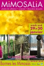 #A109# -  Mimosalia 2011 : « Le palmier en vedette » - 2011