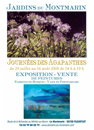 - JournÃ©es des agapanthes - 2009  - 346