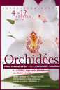  - OrchidÃ©es - 2006  - 113