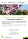 #A123# -  Parc de la Beaujoire - Parc floral de la Beaujoire A découvrir en ce moment La floraison des magnolias - 2013