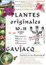  - Foire aux plantes originales  - 2009  - 337