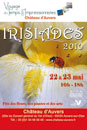  - Irisiades 2010  - 2010  - 506