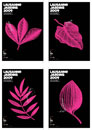  - Lausanne jardins 2009 : Jardins dessus dessous - 2009  - 425