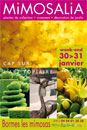  - Mimosalia 2010 : Â« Cap sur l'art topiaire Â»  - 2010  - 491