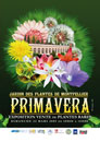  - Primavera 2009 - 2009  - 488